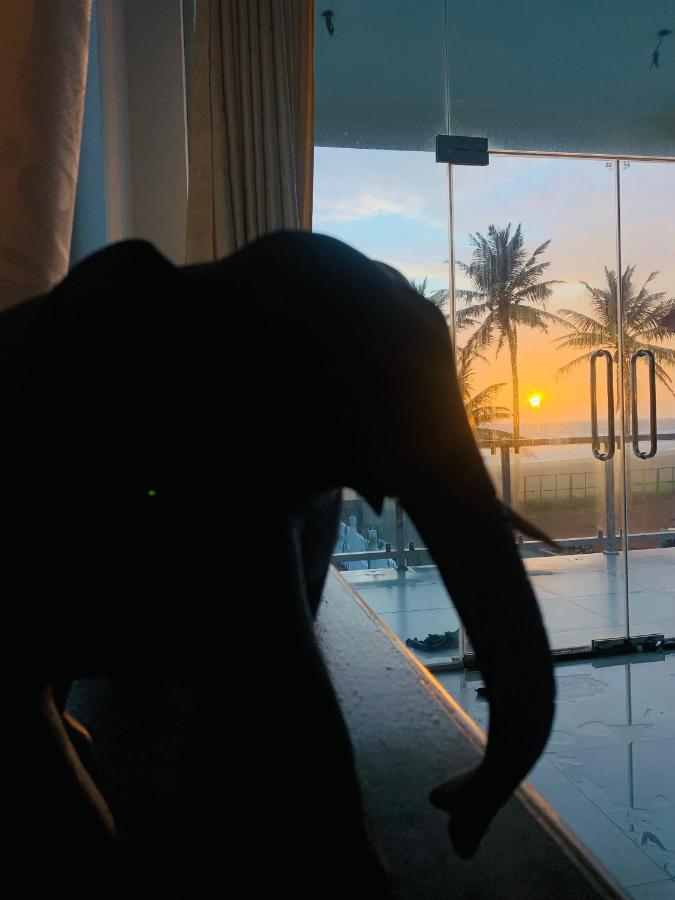 Kavin Beach Hotel Hikkaduwa Exteriér fotografie